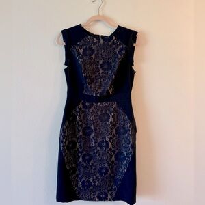 Adrianna Papell navy and tan lace midi cocktail dress